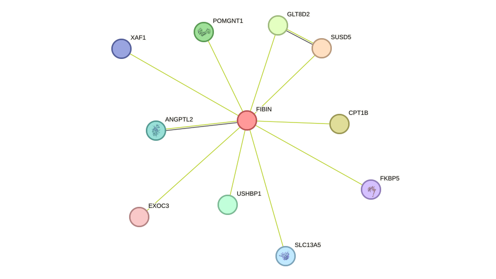 STRING protein interaction network