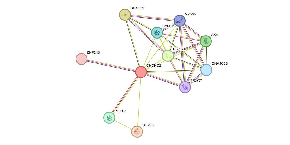 STRING protein interaction network