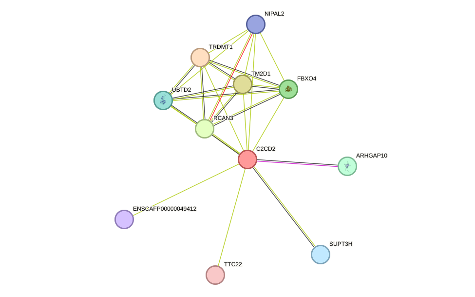 STRING protein interaction network