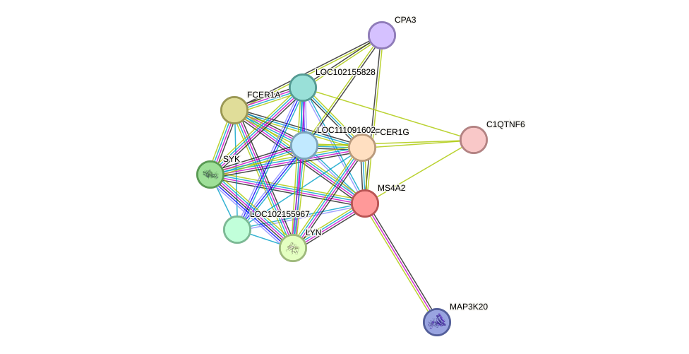 STRING protein interaction network
