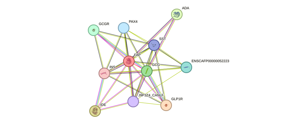 STRING protein interaction network