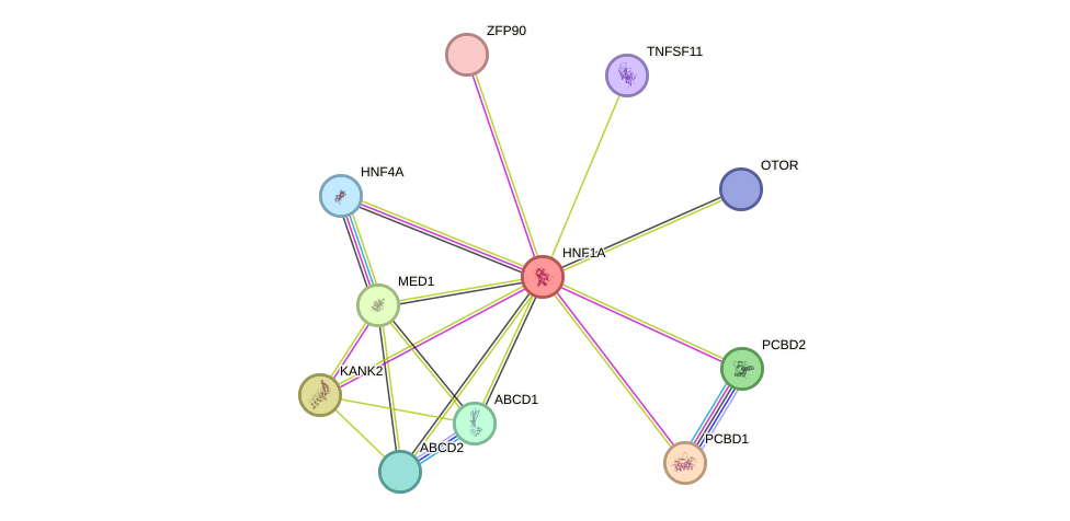 STRING protein interaction network