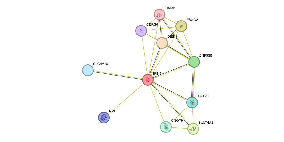 STRING protein interaction network