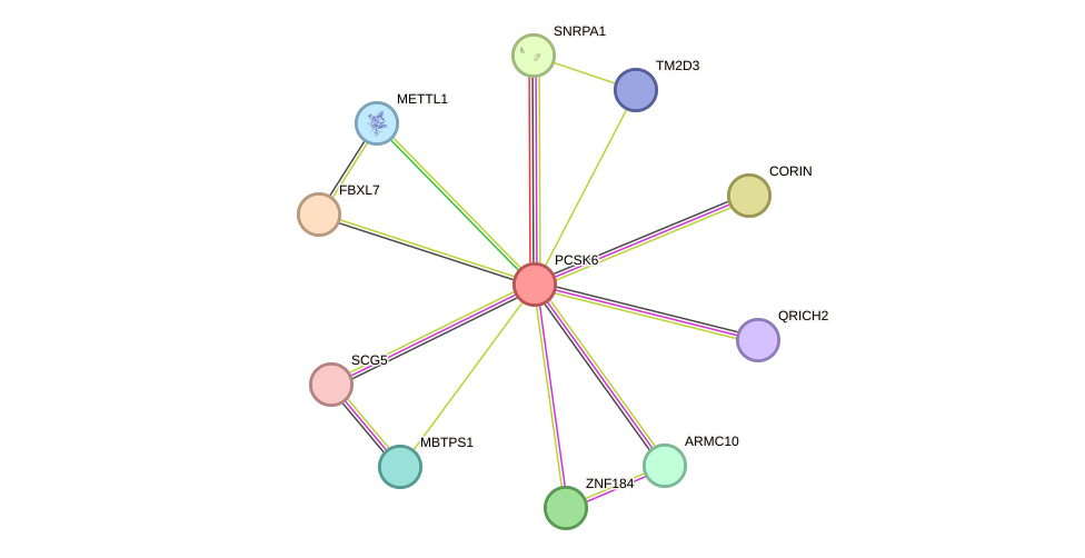 STRING protein interaction network