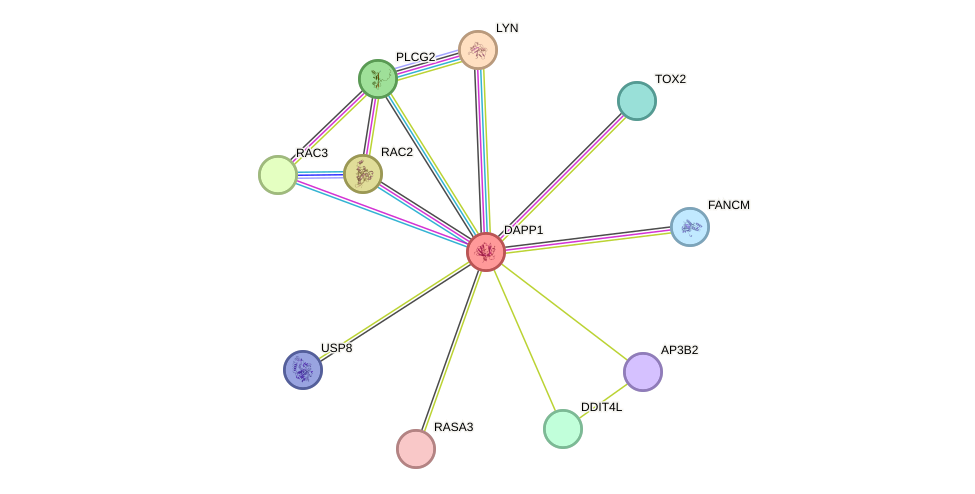 STRING protein interaction network