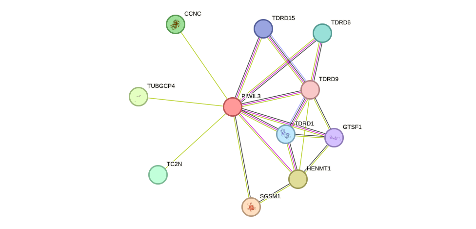 STRING protein interaction network