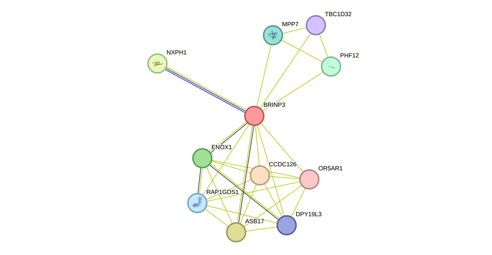 STRING protein interaction network