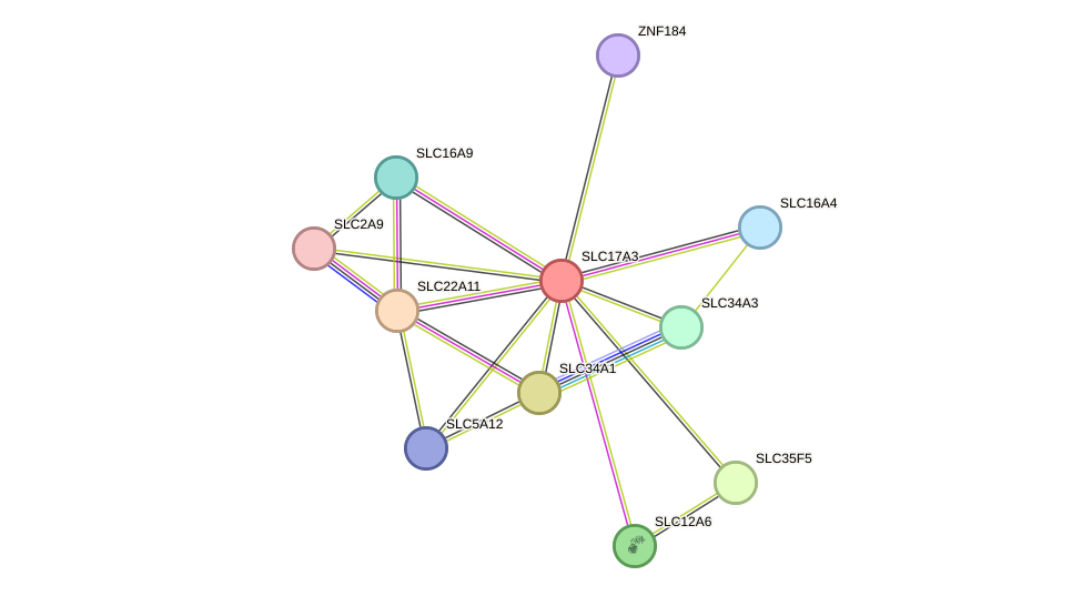 STRING protein interaction network
