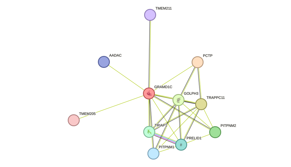 STRING protein interaction network