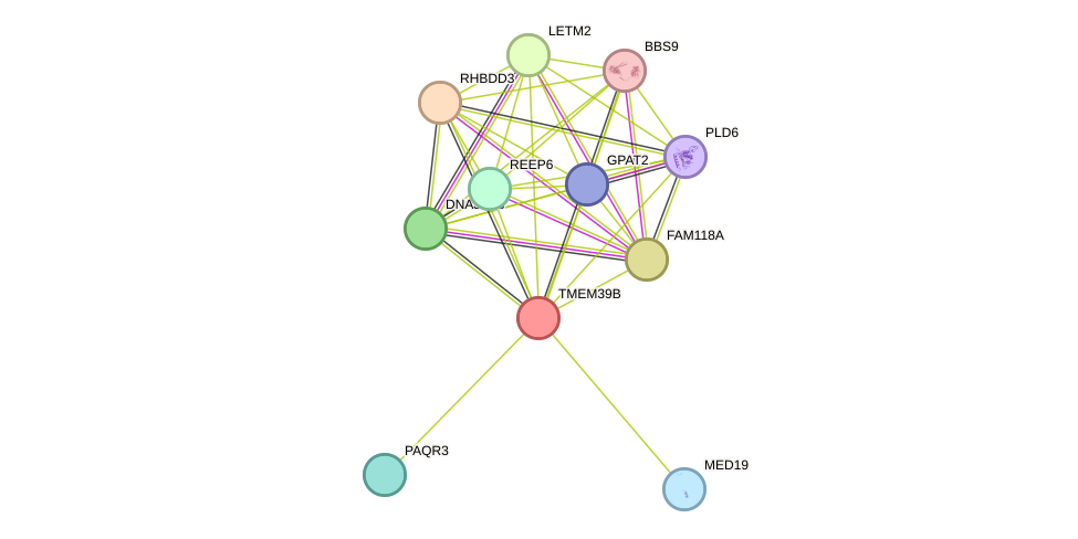 STRING protein interaction network