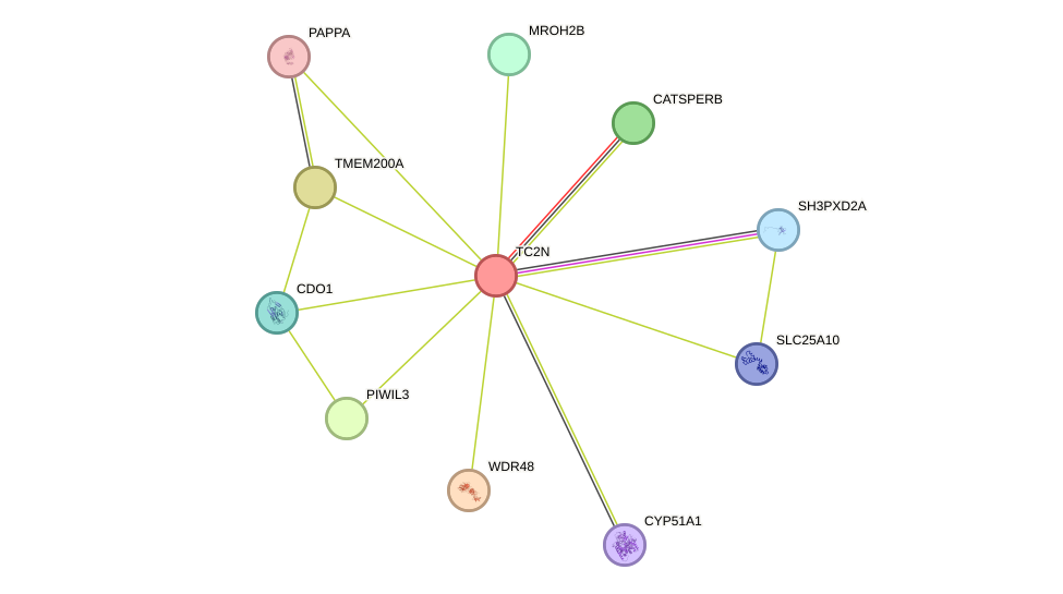 STRING protein interaction network