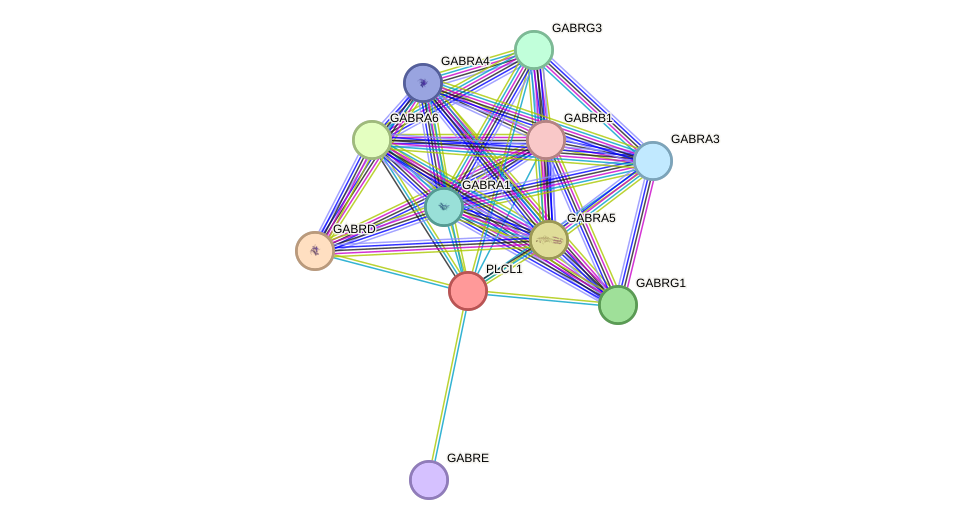 STRING protein interaction network