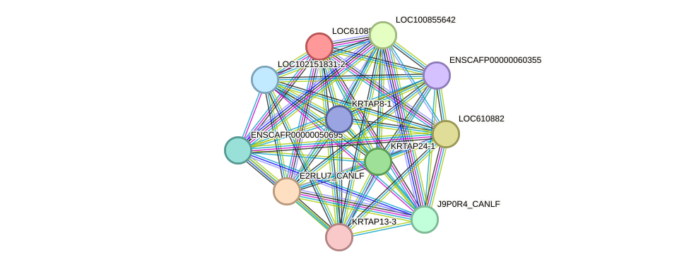 STRING protein interaction network