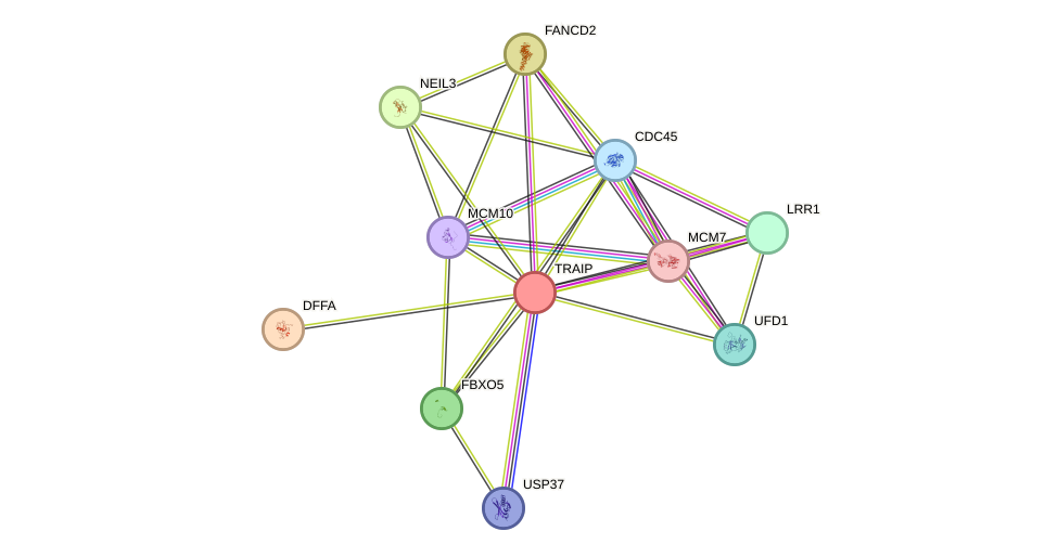 STRING protein interaction network