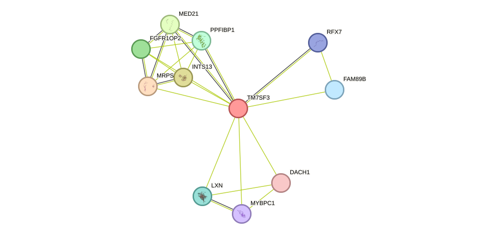 STRING protein interaction network