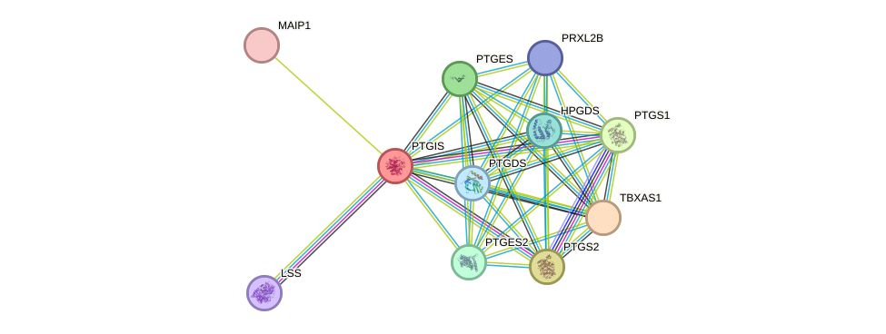 STRING protein interaction network