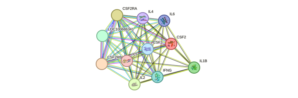 STRING protein interaction network