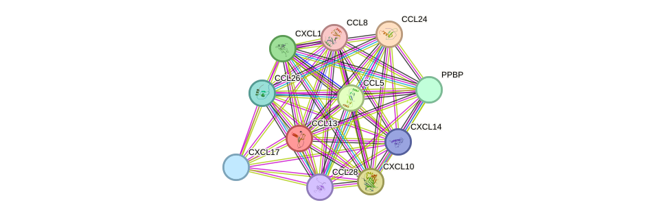 STRING protein interaction network