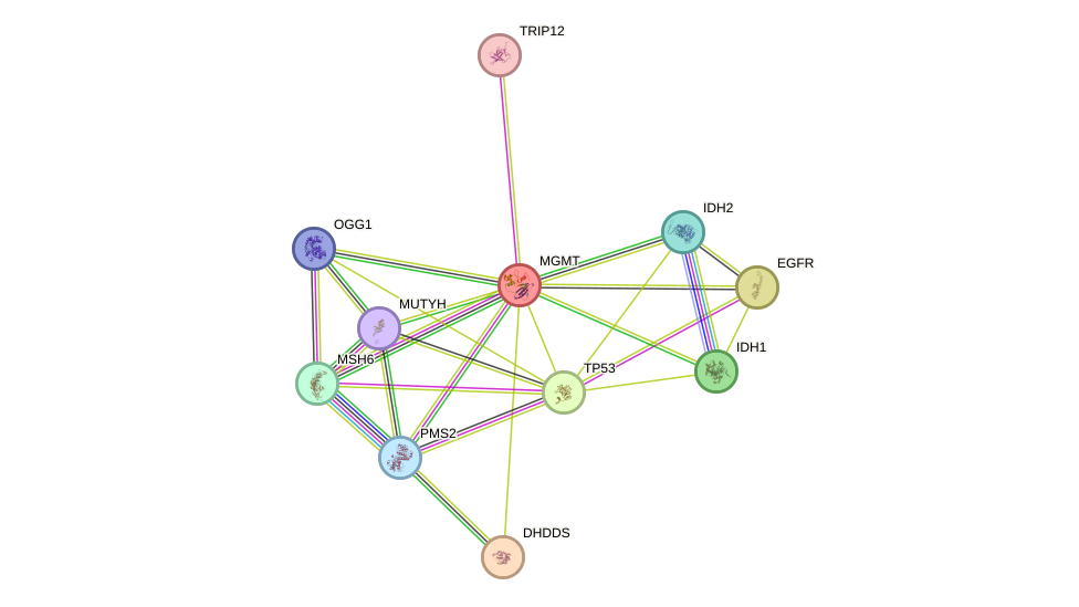 STRING protein interaction network