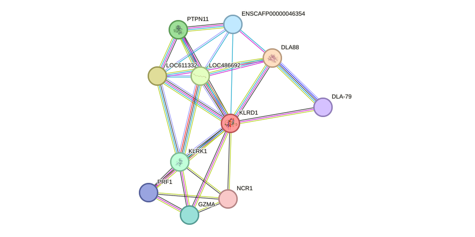 STRING protein interaction network