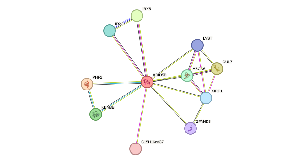 STRING protein interaction network