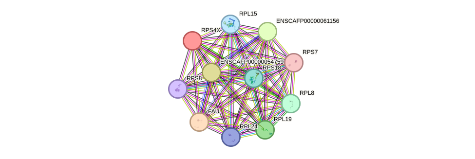 STRING protein interaction network