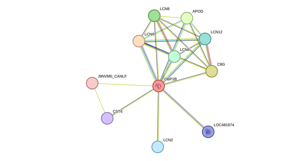 STRING protein interaction network