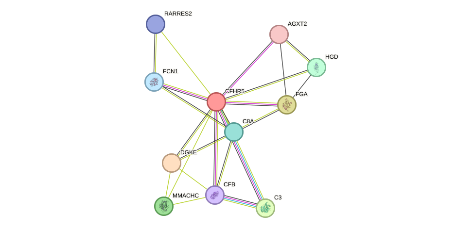 STRING protein interaction network