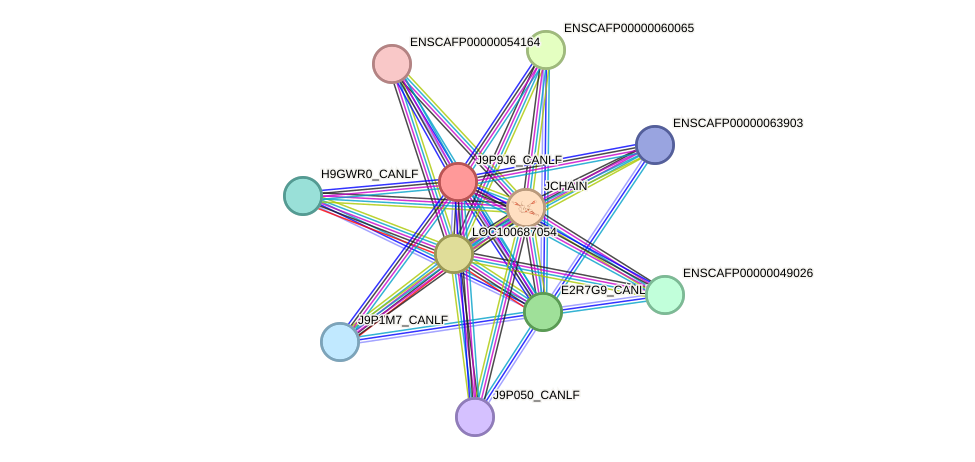 STRING protein interaction network
