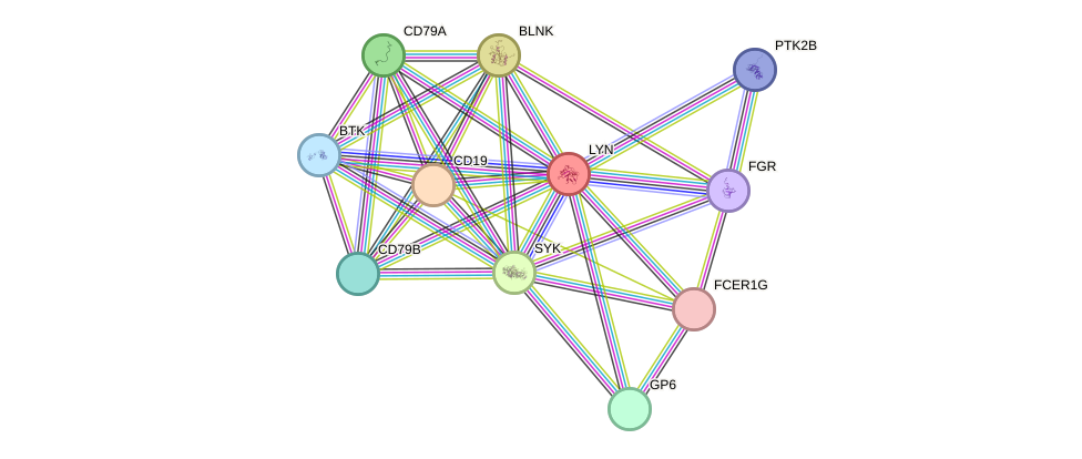 STRING protein interaction network