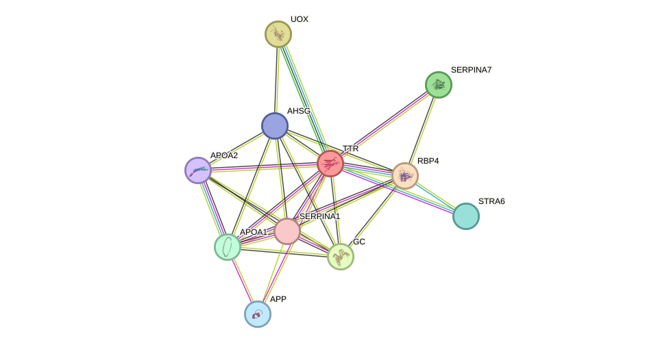 STRING protein interaction network