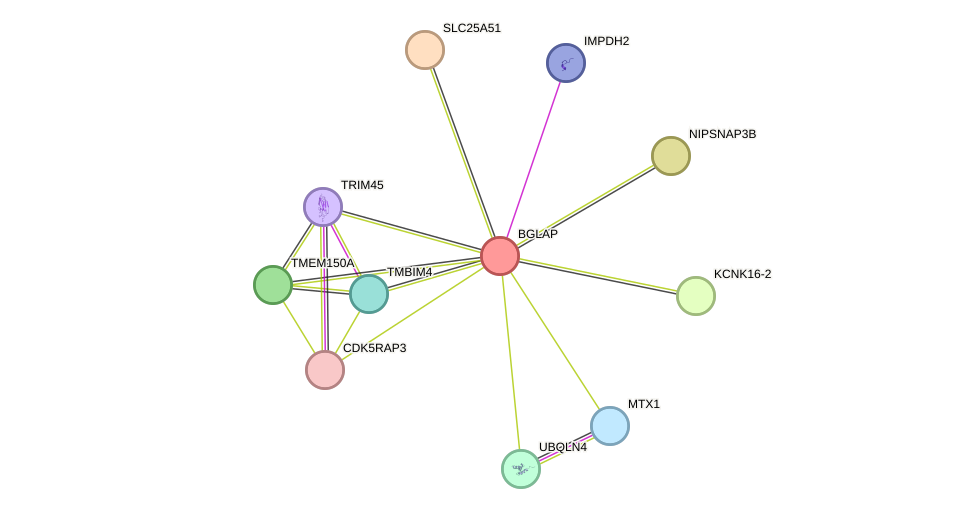 STRING protein interaction network