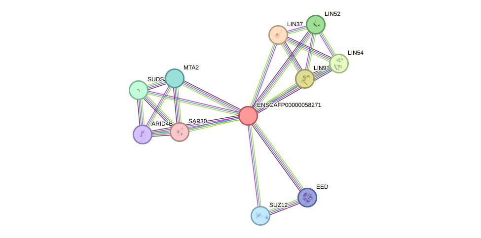 STRING protein interaction network