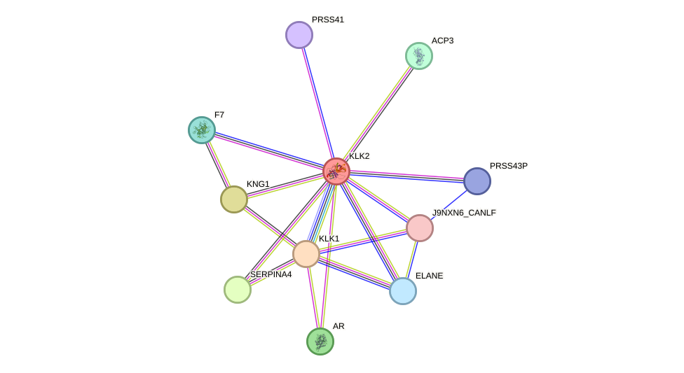 STRING protein interaction network