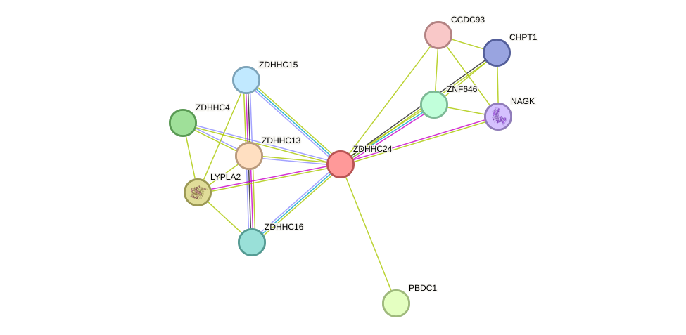 STRING protein interaction network