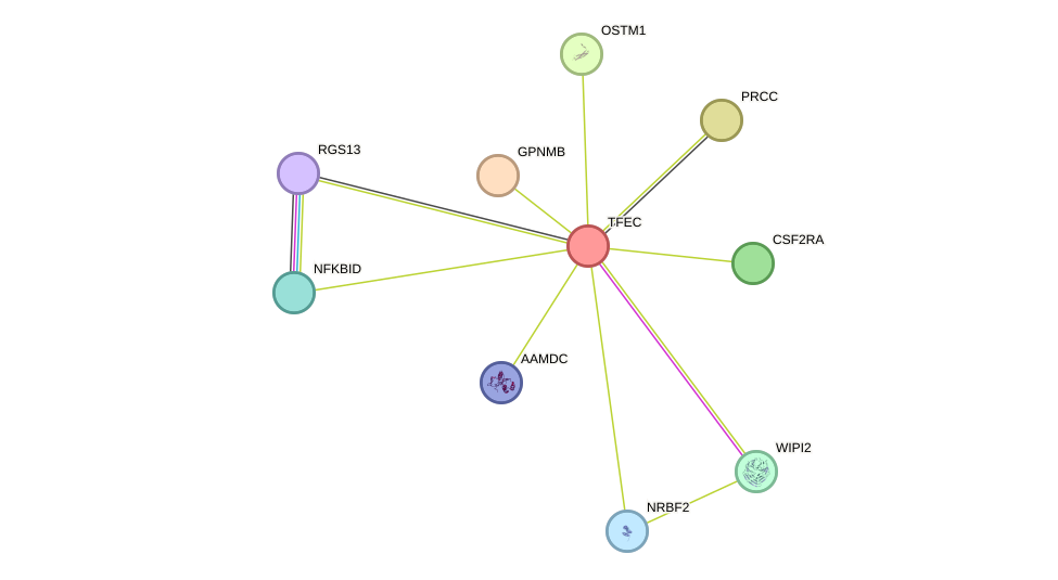 STRING protein interaction network