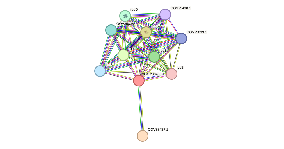 STRING protein interaction network