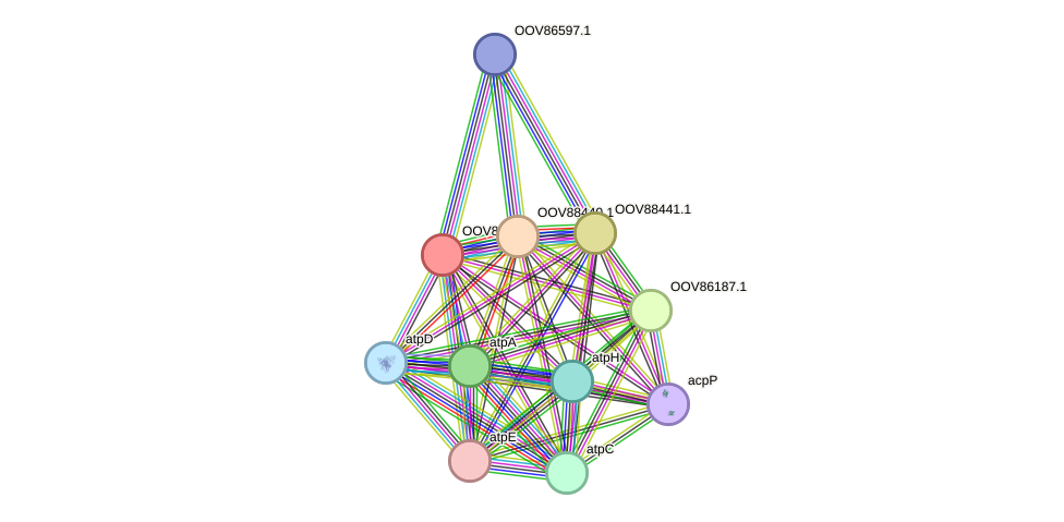 STRING protein interaction network