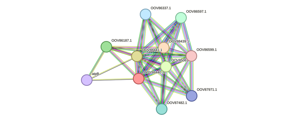 STRING protein interaction network