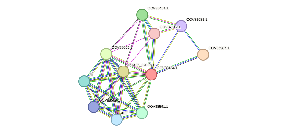 STRING protein interaction network