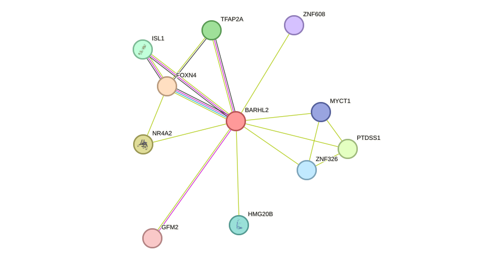 STRING protein interaction network