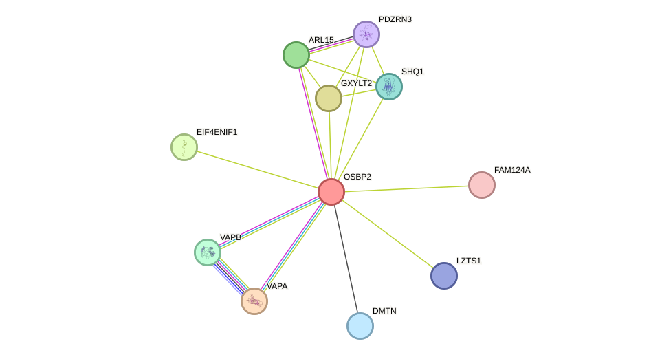 STRING protein interaction network