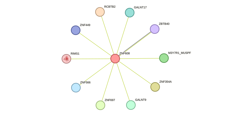 STRING protein interaction network