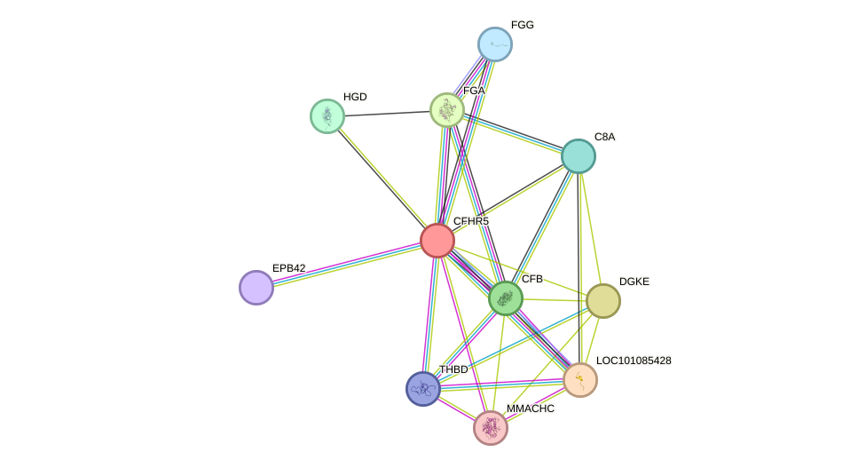 STRING protein interaction network