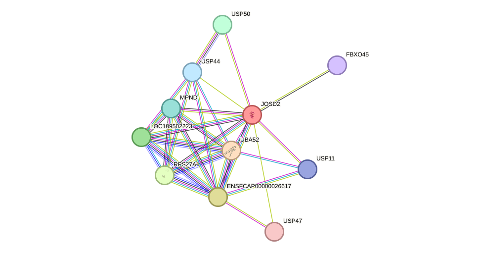 STRING protein interaction network