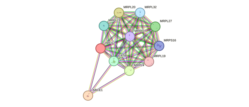 STRING protein interaction network