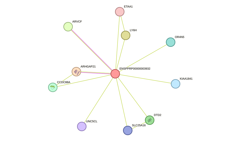 STRING protein interaction network