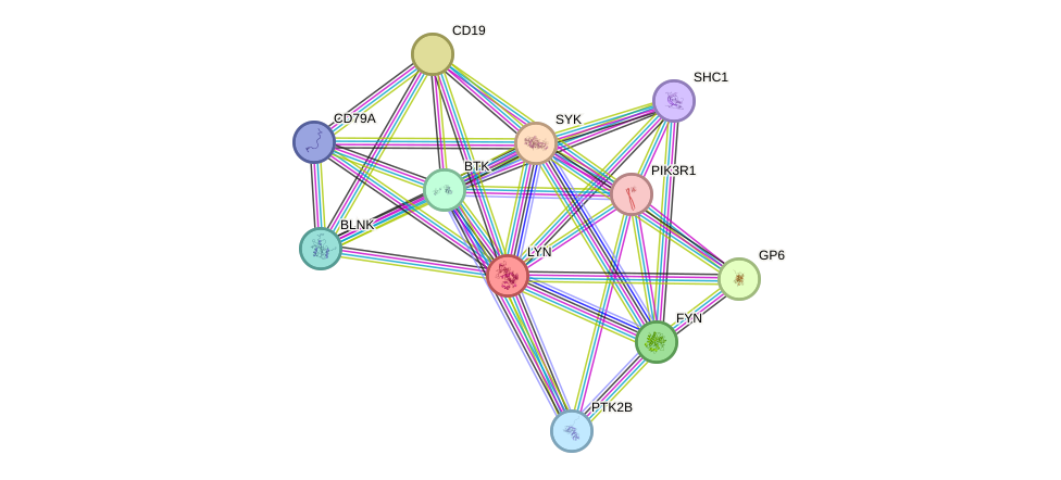 STRING protein interaction network