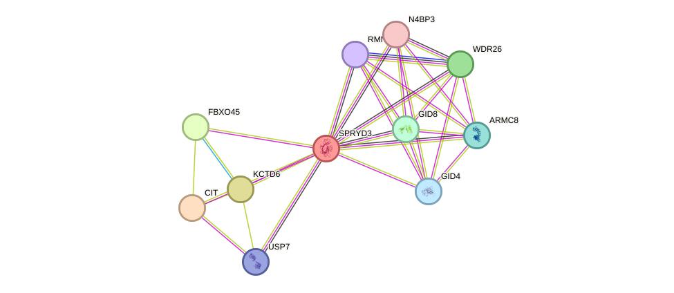 STRING protein interaction network