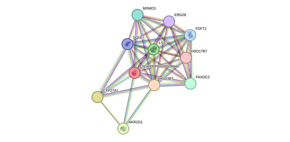 STRING protein interaction network